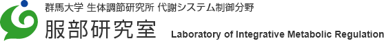 群馬大学生 体調節研究所 代謝システム制御分野 服部研究室